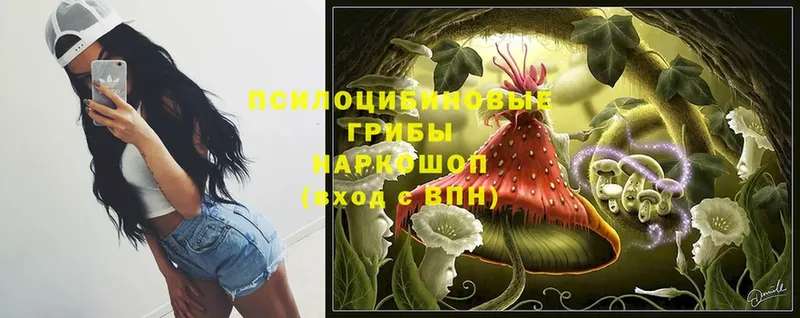 что такое   Гуково  Галлюциногенные грибы Cubensis 